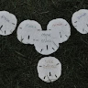 Meet your Posher, Ellen